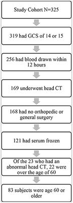 Examining four blood biomarkers for the detection of acute intracranial abnormalities following mild traumatic brain injury in older adults